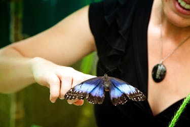 Monteverde Butterfly Garden Ticket